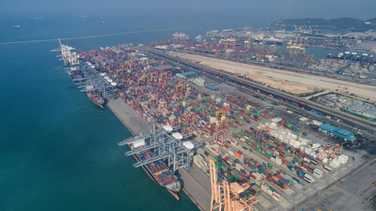 冷凍榴蓮肉進口報關(guān)[案例]