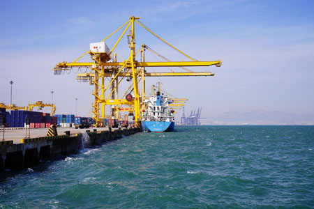 牛油果進口報關(guān)[案例]