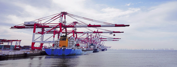 魚籽醬進(jìn)口報(bào)關(guān)公司