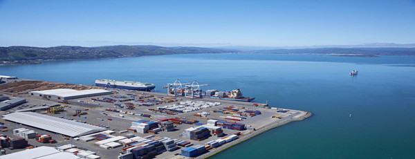 港口豬肉進口報關(guān)