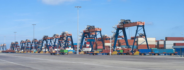 羊肉進(jìn)口清關(guān)代理