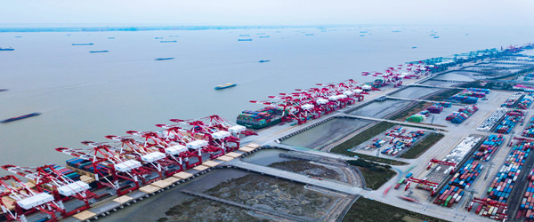 胡蘿卜進(jìn)口報(bào)關(guān)