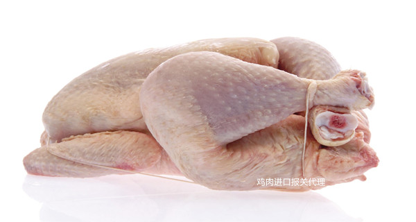 進(jìn)口報關(guān)代理