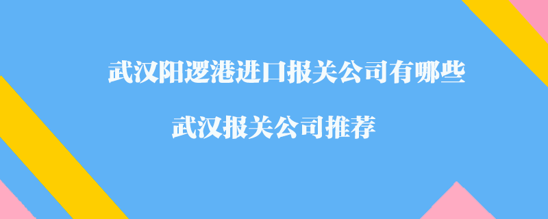 武漢陽邏港進(jìn)口報(bào)關(guān)公司有哪些？武漢報(bào)關(guān)公司推薦