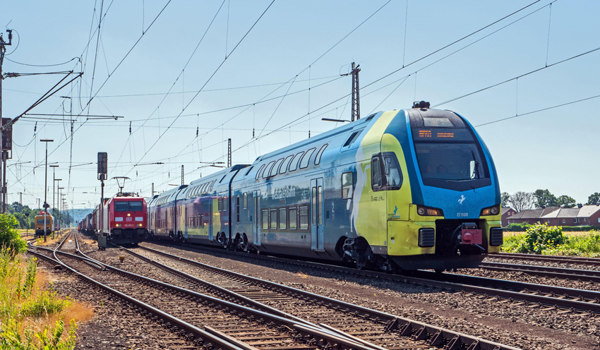 澳門一般貿(mào)易進(jìn)出口服務(wù)