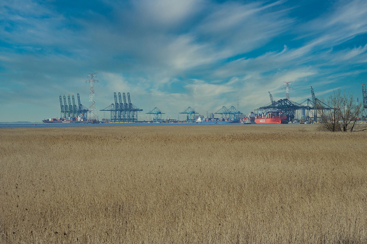 陜西一般貿易進出口 陜西一般貿易進出口