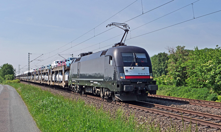 上海報(bào)關(guān)協(xié)會(huì)