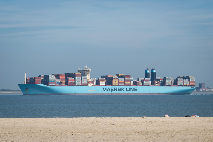 澳門一般貿(mào)易進(jìn)出口服務(wù)