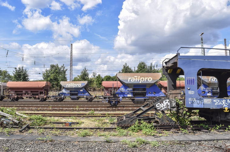 一般貿(mào)易進(jìn)出口權(quán)證