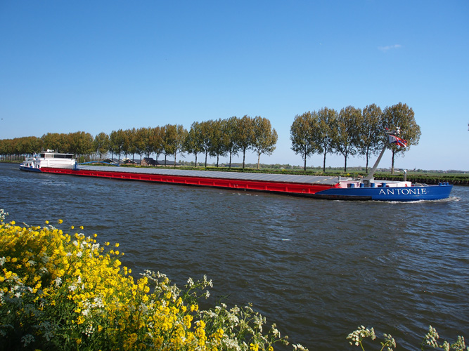 寧波紅茶進口代理報關(guān)