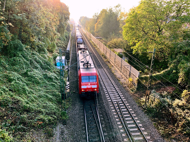 一般貿(mào)易進(jìn)出口報(bào)表