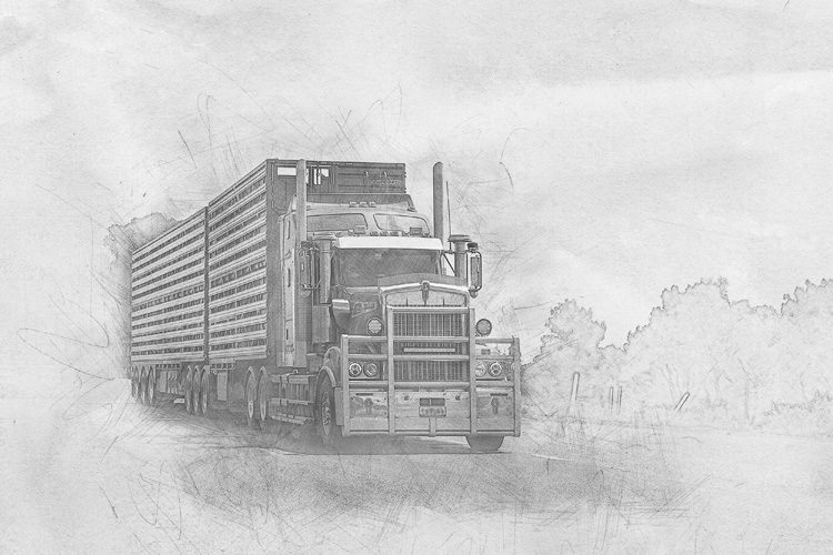 一般貿(mào)易進(jìn)出口的特征