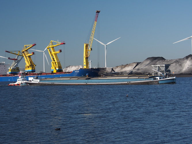 陜西一般貿(mào)易進出口代理