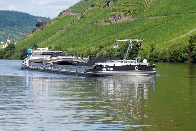 一般貿(mào)易進(jìn)出口備案