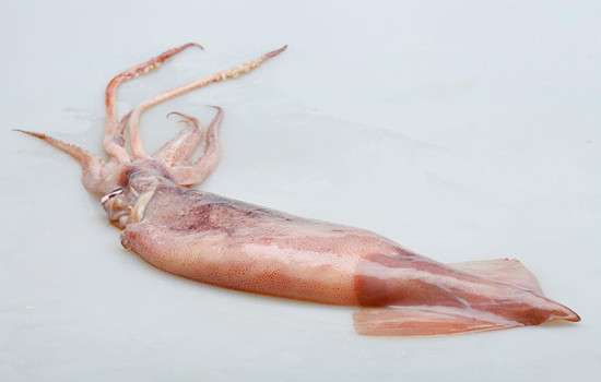 海鮮報(bào)關(guān)代理