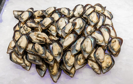 進(jìn)口海鮮報(bào)關(guān)