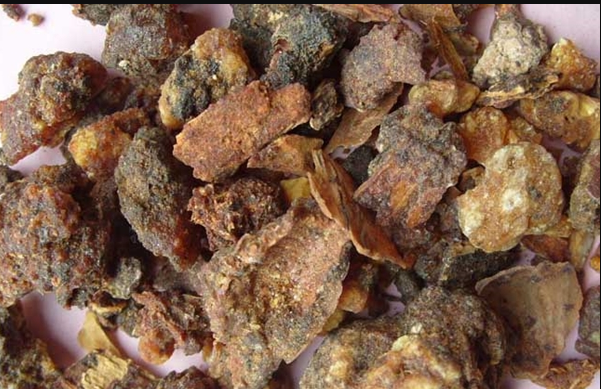 沒藥進(jìn)口報(bào)關(guān)