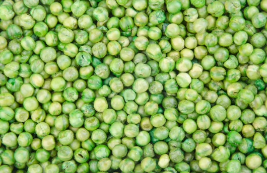 檳榔進(jìn)口報關(guān)