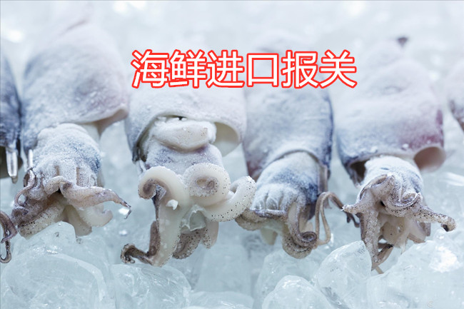 海鮮進(jìn)口報(bào)關(guān)