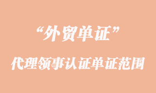 代理領(lǐng)事認(rèn)證的單證范圍要求