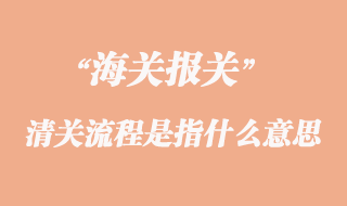海關(guān)清關(guān)流程是指什么意思