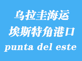 烏拉圭海運(yùn)港口：埃斯特角（punta del este）港口