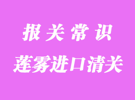 蓮霧進(jìn)口清關(guān)報關(guān)流程